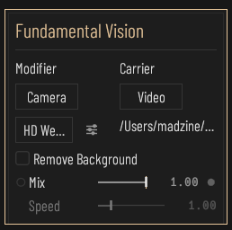 Vision MOD Fundamental Vision